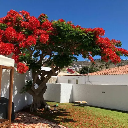 Apartmán Apartamento Relax En Tauro